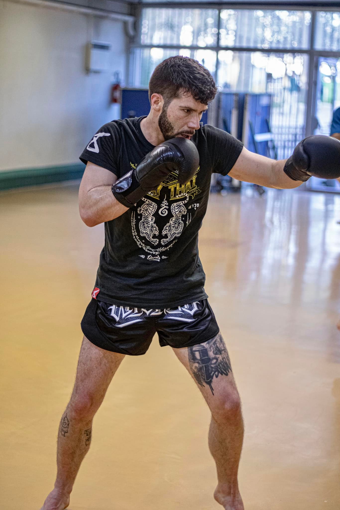 Photo d'un Boxeur